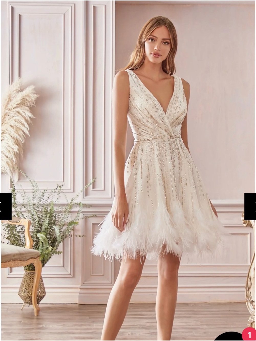 Ivory Beaded V-Neck Mini Dress with Feather Trim